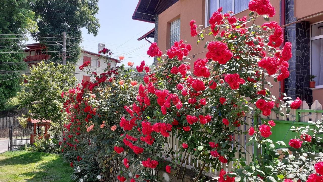 ホテル Vila Nadia Oesti-Paminteni エクステリア 写真