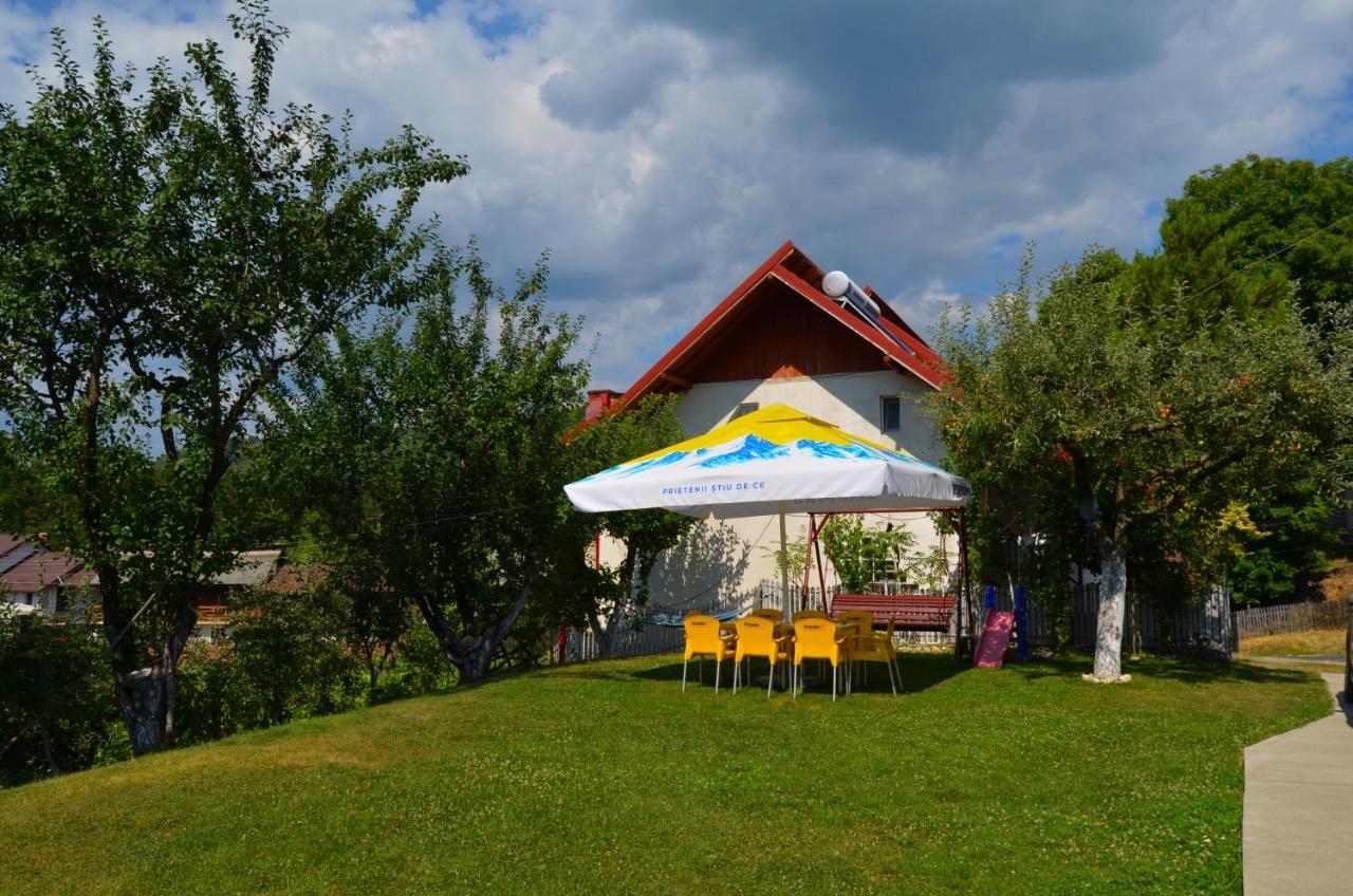 ホテル Vila Nadia Oesti-Paminteni エクステリア 写真